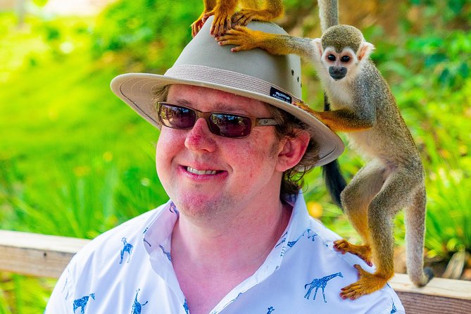 Monkeyland Puerto Plata - Highlights of the Tour