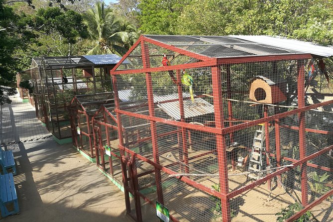 Monkeys & Sloth Hangout - Transportation Options