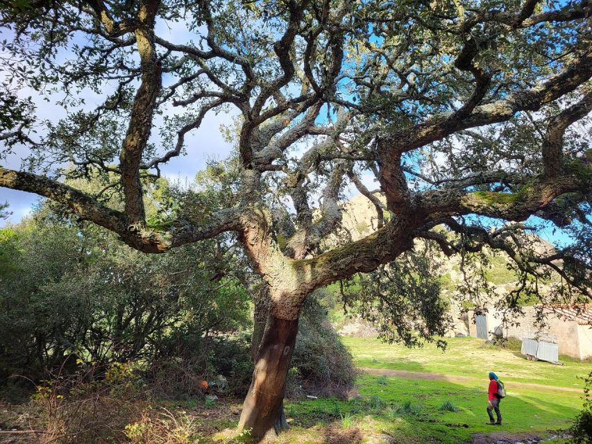 Monte Tiniterra: Guided Hiking Tour - Experience Highlights