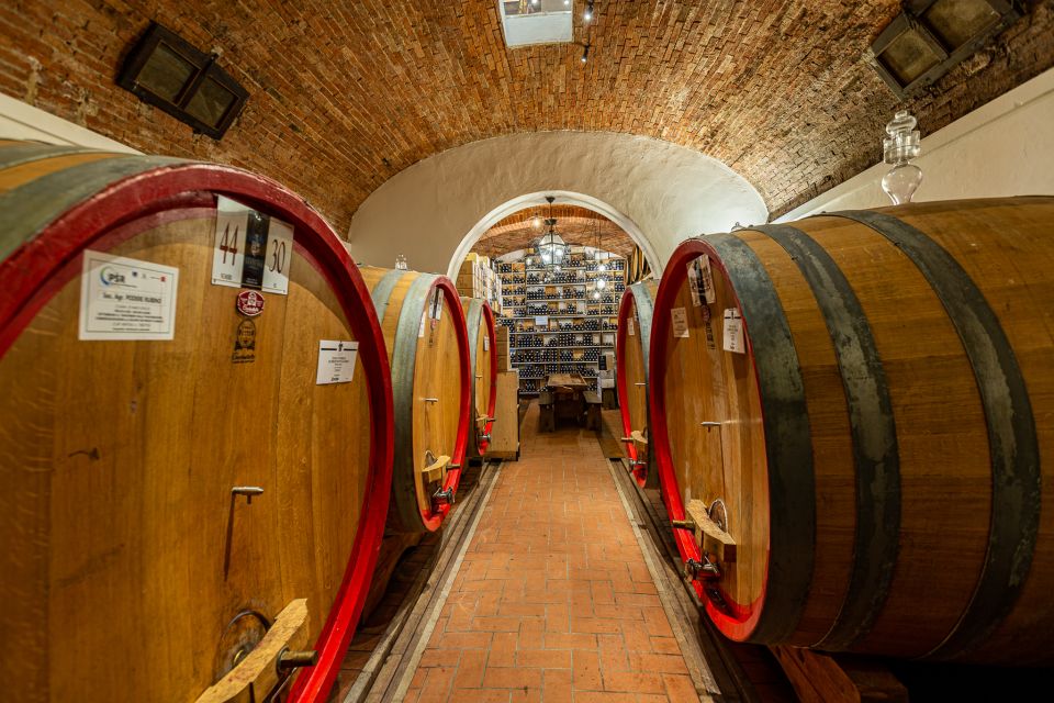 Montepulciano: Guided Winery Tour With Tasting & Appetizers - Experience Highlights