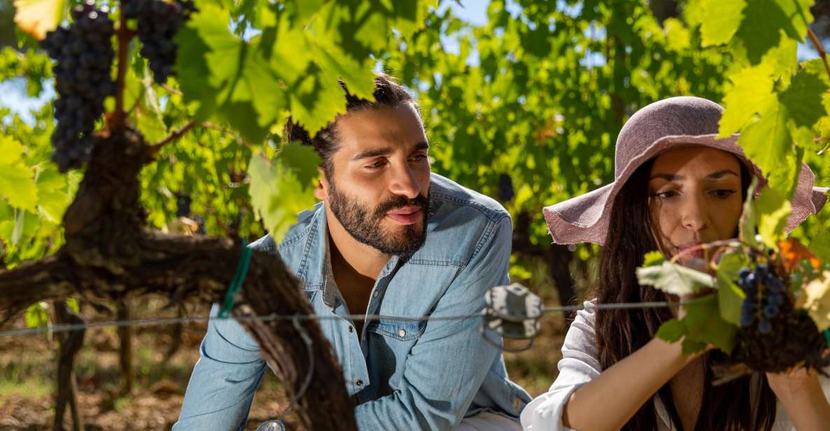 Montepulciano: Wine Tasting With Typical Tuscan Cold Cuts - Included Features