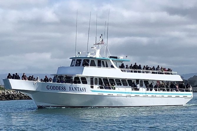 Monterey Bay Whale Watching - Participant Requirements