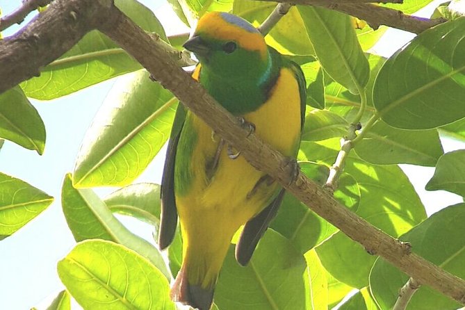 Monteverde Birdwatching Experience - Meeting and End Points