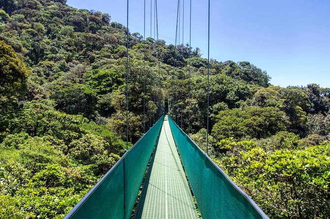Monteverde Sky Tram & Hanging Bridges Cloud Forest Tour From San Jose - Traveler Experiences