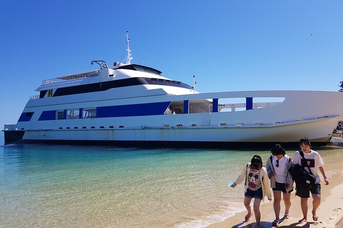 Moreton Island Day Trip (Kayak, Snorkel & Sandboard) Frm Brisbane or Gold Coast - Travel and Transportation