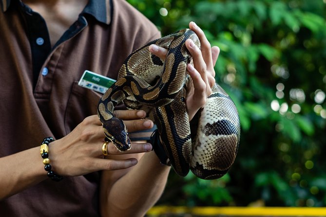 Morning at the Zoo With Transfer - Tram Journey Through Habitats