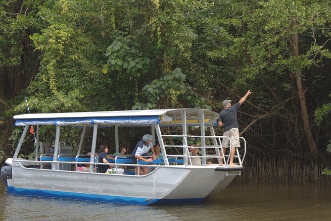 Morning Daintree River and Mossman Gorge From Port Douglas - Morning Tea Experience