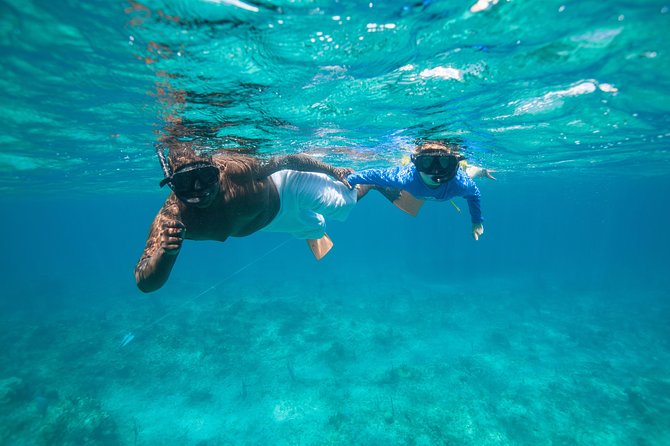 Morning Half Day Cruise From Providenciales With Snorkeling and Iguana Island - Cruise Along Grace Bay