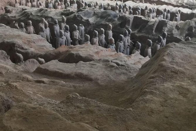 Morning Tour to Terracotta Warriors Museum - Recommendations for Improvement