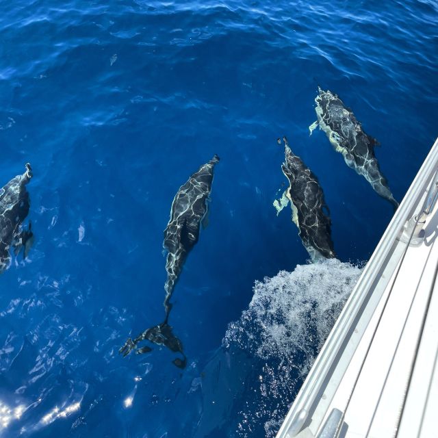 Morro Jable: Sailing Boat Excursion With Food and Drinks - Inclusions and Pickup