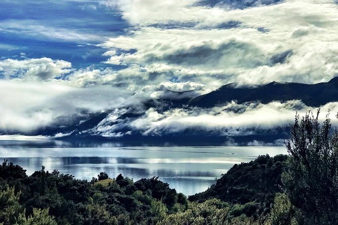 Mou Waho Island Cruise and Guided Nature Walk - Guided Nature Walk Details