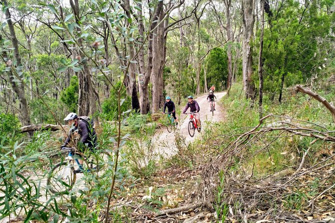 Mount Lofty Descent Bike Tour From Adelaide - Wildlife Encounters