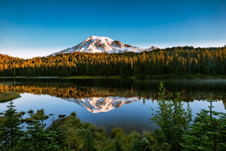 Mount Rainier National Park: Audio Tour Guide - Tour Duration and Customization