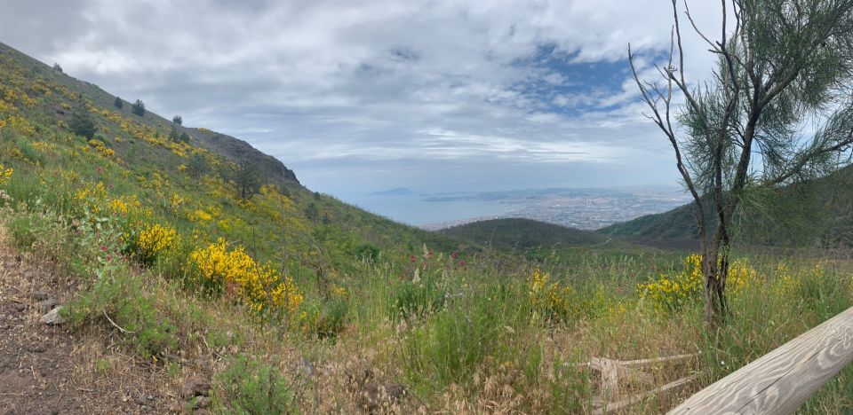 Mount Vesuvius: Smartphone Audio Guide - Historical Significance