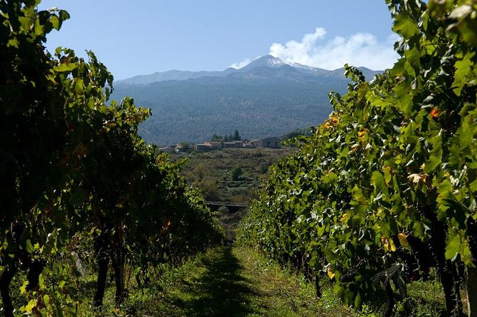 Mt Etna and Wine Tasting Tour From Catania - Optional Extras