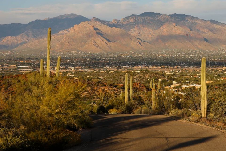 Mt. Lemmon Scenic Byway Self-Guided Audio Tour - Drive Through Ecosystems