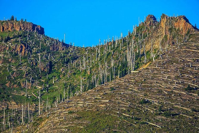 Mt. St. Helens National Monument From Seattle: All-Inclusive Small-Group Tour - Customer Reviews