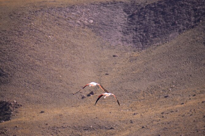 Multi-Day Tour in San Pedro De Atacama With Pickup - Tips for Travelers