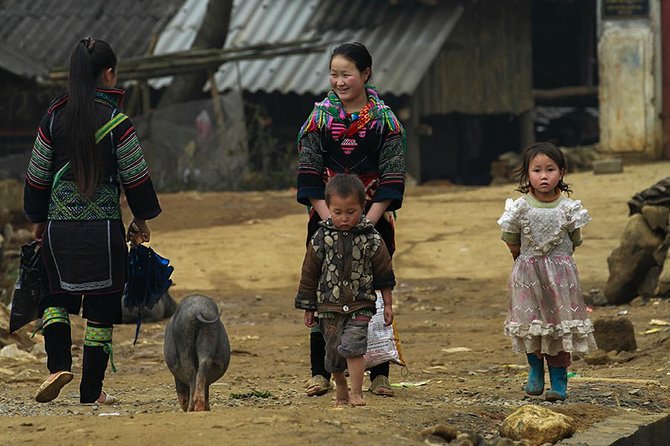 Muong Hoa Valley Trek & Homestay Experience - 4D3N - Homestay Accommodation