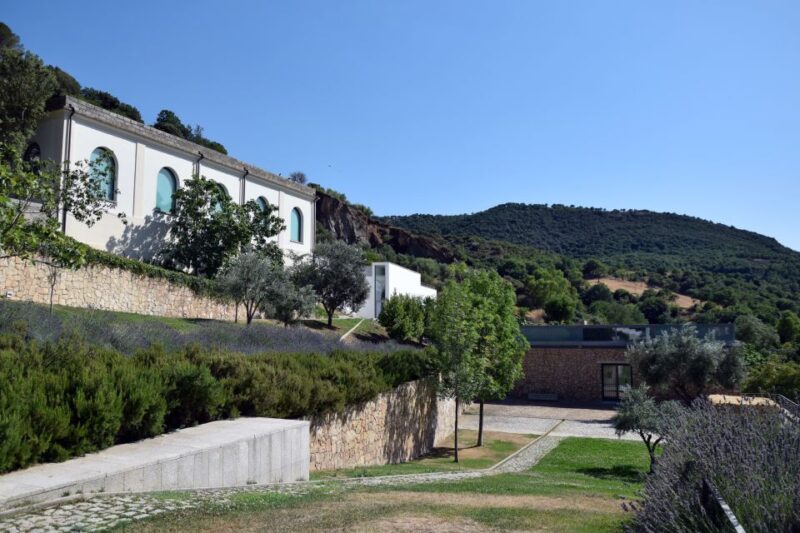 Museo Nivola Entry Ticket and Guided Tour - Museum Location and Features