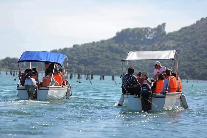 Mussel Sailing Tour With Food and Drink Tasting in Albania - Culinary Delights on Board