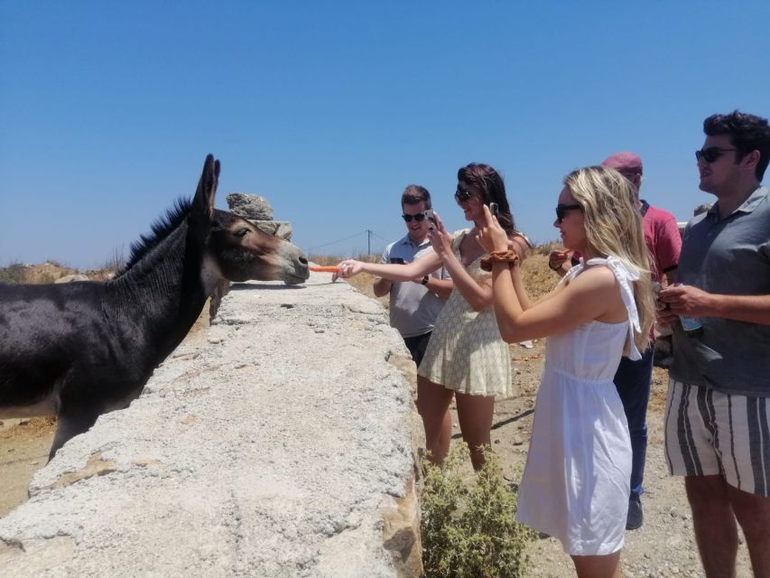 Mykonos: Highlights Tour With Panagia Tourliani Monastery - Monastery Tour