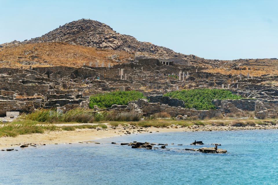 Mykonos Town: Archaeological Site of Delos Guided Day Trip - Inclusions and Exclusions