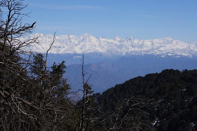 Naag Tibba Trek - Terrain and Difficulty Level