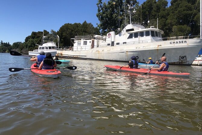 Napa Valley River History Kayak Tour: Single Kayaks - Health and Safety