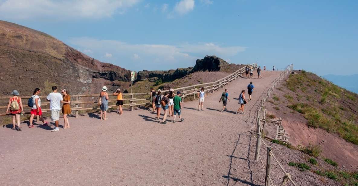 Naples: Round Trip for the Vesuvio Park - Park Visit Information