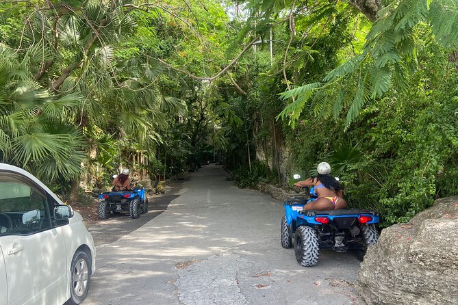 Nassau Atv Island Half-Day City Tour With Free Pick-Up - Experience Highlights