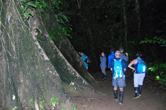 Nativos Corcovado Night Hike in DrakeBay - Tour Logistics and Details