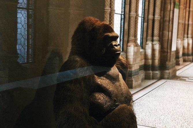 Natural History Museum London - Private Guided Museum Tour - Accessibility and Restrictions