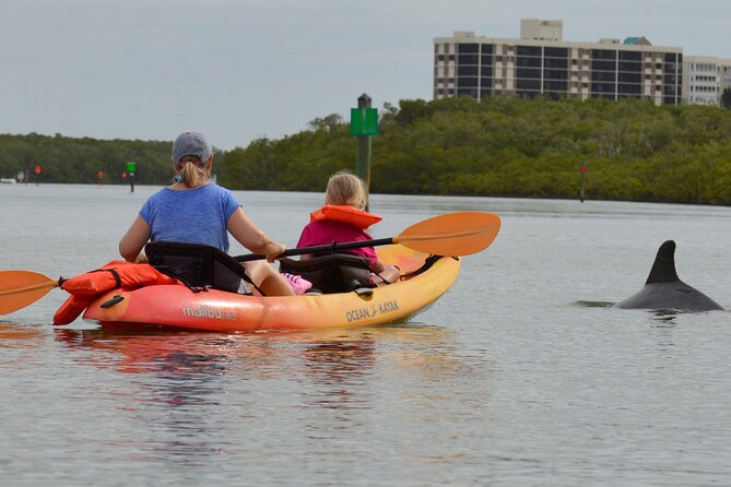 Nauti Exposures - Guided Kayak Tour Through the Mangroves - Scenic Mangrove Views