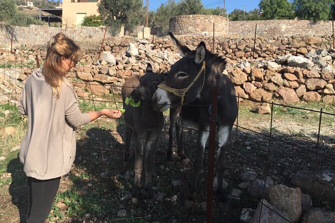 Naxos Villages Food Tour - Guide Expertise and Insights