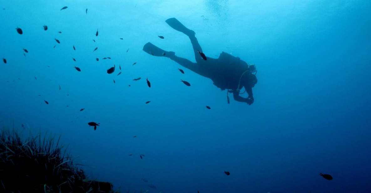 Nea Makri: Open-Water Diving Advanced PADI Course - Small Group Experience