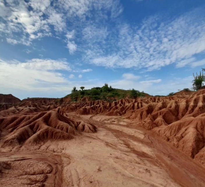 Neiva: Guided Day Trip to the Tatacoa Desert With Lunch - Full Activity Description