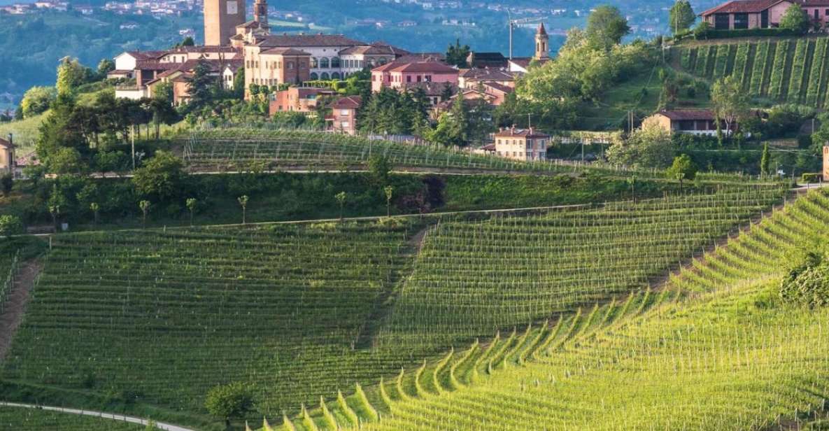 Neive: Cycling Tour From Neive to Barbaresco - Piedmontese Culinary Experiences