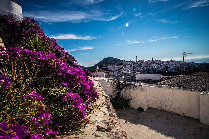 Nerja (Village) + Frigiliana & El Acebuchal - Semi-Private - Guide Expertise and Insights