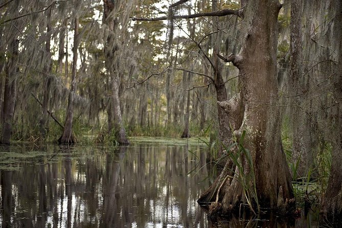 New Orleans Large Airboat Swamp Tour - Health and Safety