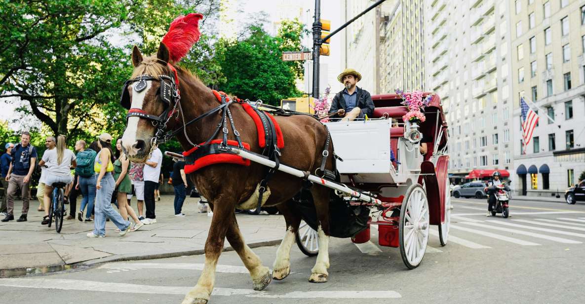 New York City: Central Park Private Horse and Carriage Tour - Guided Tour Highlights