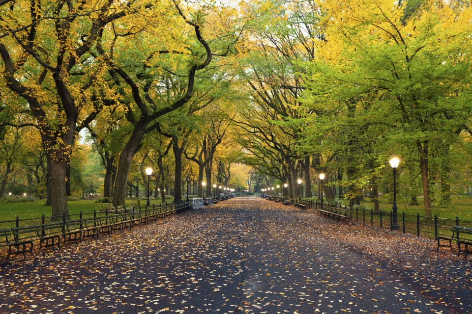 New York City: Central Park Self-Guided Walking Tour - Central Park Zoo and Wildlife