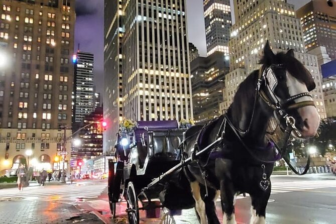 New York City Christmas Lights Private Horse Carriage Ride - Meeting Point Details