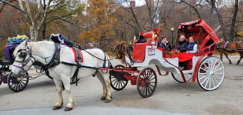 New York City: Private Horse Carriage Tour - Inclusions and Exclusions