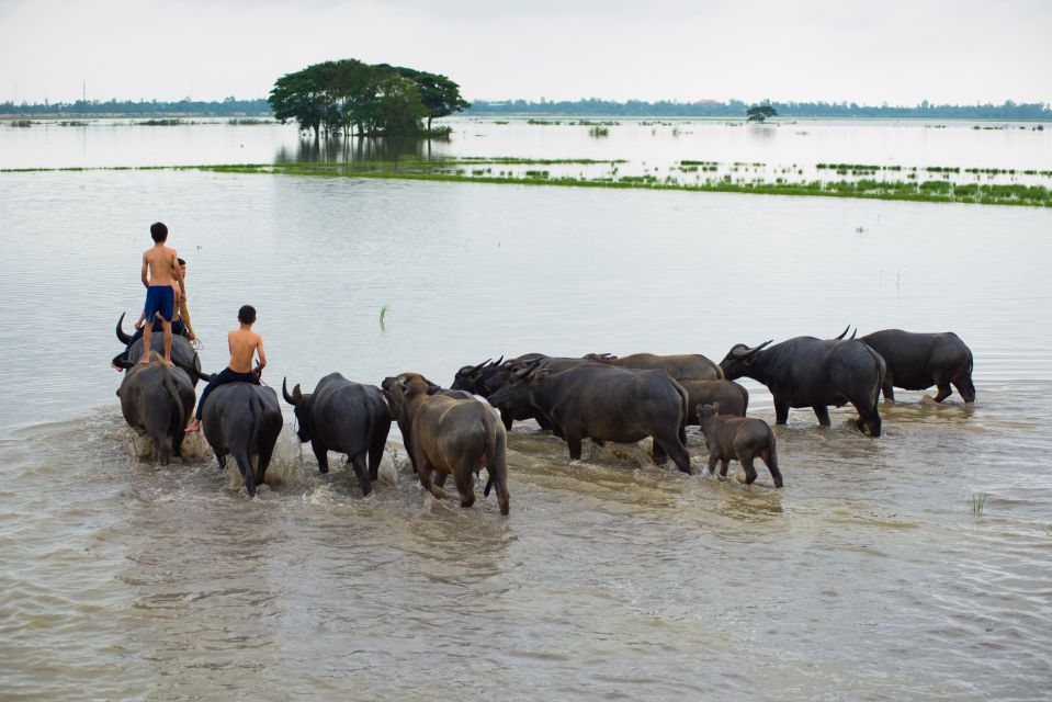 Nha Rong Port: Private Mekong Delta Tour - Transportation Details