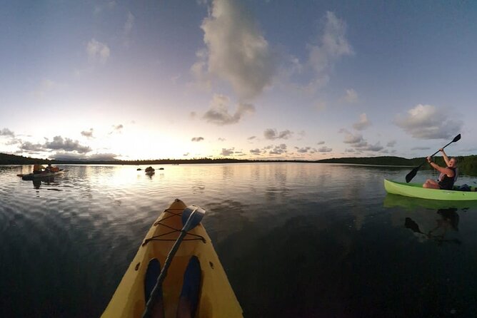 Night Kayaking Experience on Bioluminescent Lagoon in Fajardo - Health and Safety Guidelines