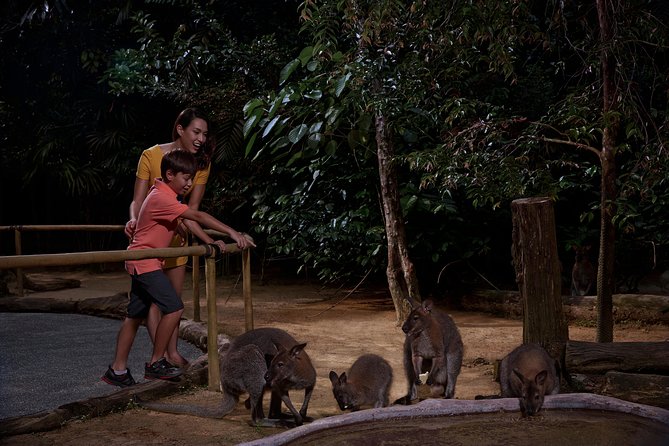 Night Safari With Buffet Dinner With Hotel Pick-Up - Meeting and Pickup Details