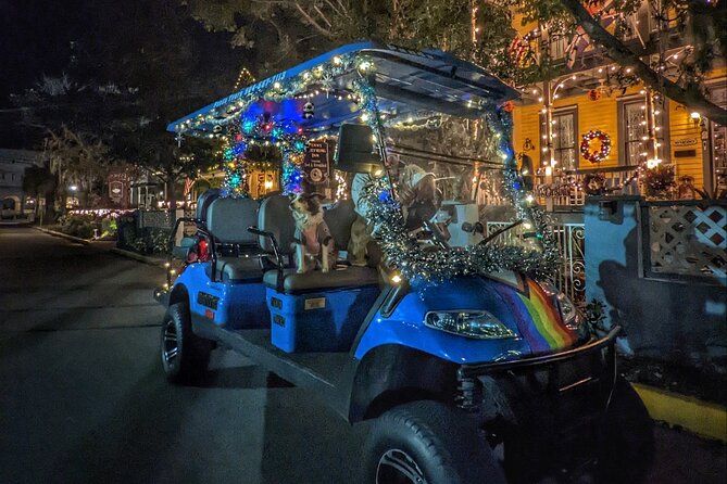 Nights of Lights Private Golf Cart Tour for up to 5 People! - Customer Feedback