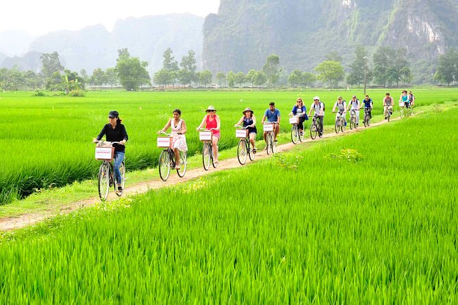 Ninh Binh Full Day - Hoa Lu Temple & Biking, Tam Coc Boat Trip, Dragon Mountain - Included in the Tour