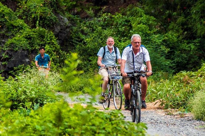 Ninh Binh Tour Hoa Lu Tam Coc Full Day: Biking, Boating, Tickets, Lunch, Limousine - Cycling Through Village Landscapes